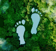 Passos para reduzir o nosso impacto ambiental