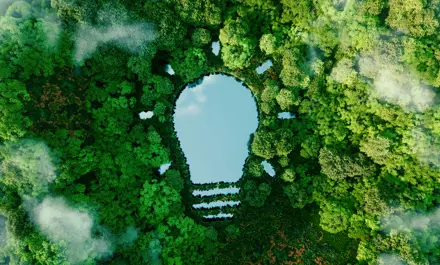 An innovative company