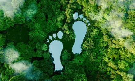 Steps to reduce our environment