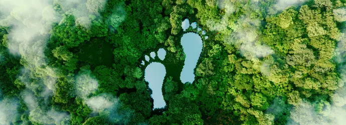 Wat we doen om onze impact op het milieu te beperken