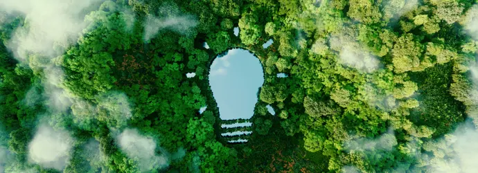 An innovative company