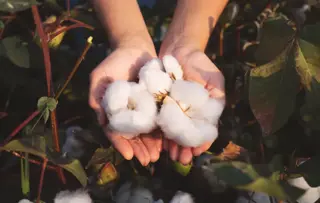Demak'Up BIO, made from GOTS-certified cotton fibres of natural origin